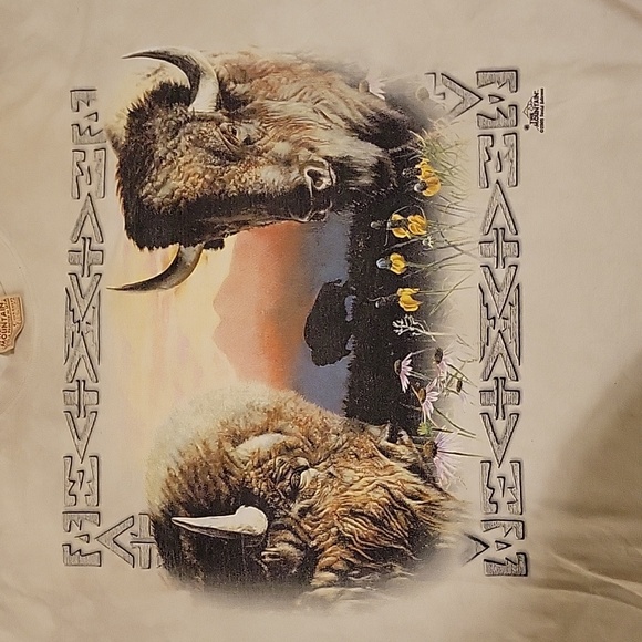 Vintage The Mountain Bison aztec print t-shirt. Men's size XXL. - Picture 2 of 4